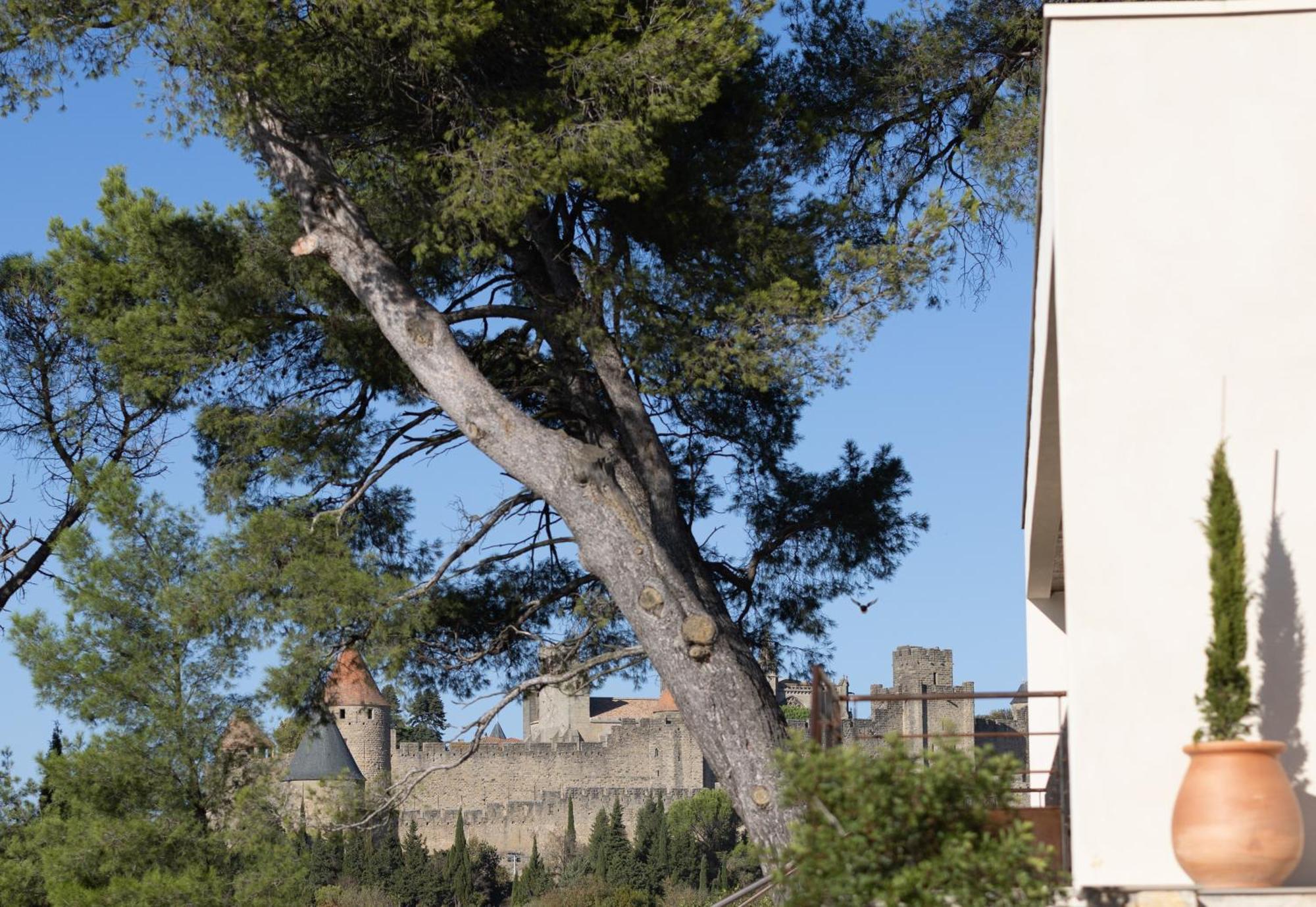 Villa St Francois Piscine Privee Chauffee ,Clim ,Parking Gratuit Каркассон Экстерьер фото